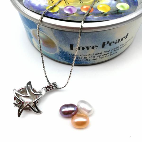 Pearl Cage Bead Cage Essential Oil Diffuser Locket Pendant Jewelry Making Oyster Pearl