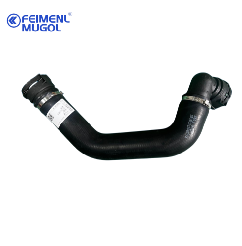 tuyau de radiateur inférieur durable conçu pour la conformité Euro V avec OEM 1303012XP6PXA-PT