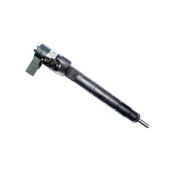 Tamanho padrão 0 injetor comum 0445110055 do trilho da injeção de 445 110 055 Bosch