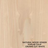 Tulip American Natural Poplar Wood folheia a coroa cortada lisa branca para portas