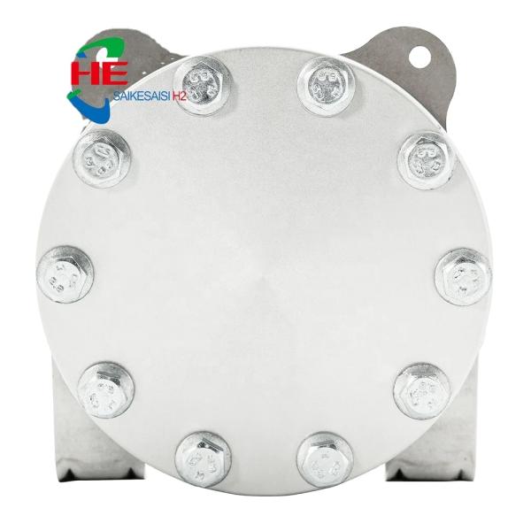 300ml/min Hydrogen Production PEM Electrolyzer with Advanced Electrolysis Technology