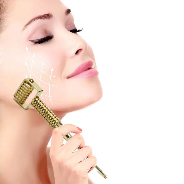 Face/Ears Acupuncture Points Detector with Face Massage Roller and Spring Needle