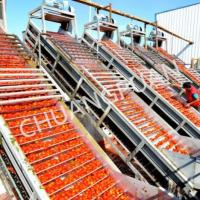 High-Speed Filling Tomato Paste Processing Equipment - Filling Speed 2-20T/H