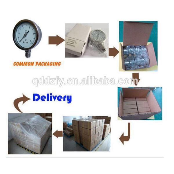 Сухой стальный давлитель 60 мм Манометрный датчик