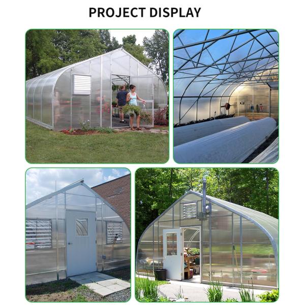 Baolida 6x12m Gothic Tunnel Greenhouse with 8mm PC Board Cover