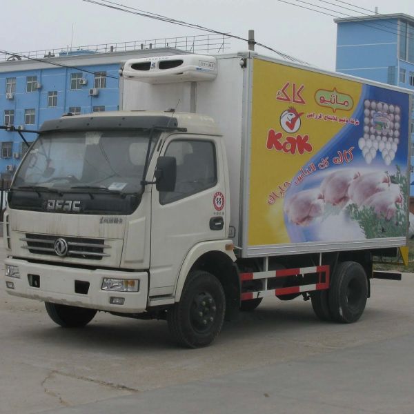 China Dongfeng Refrigerator 4ton/5ton/6ton Light Van Cargo Truck Refrigerated Truck