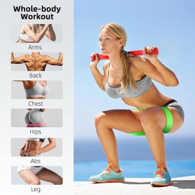 Resistance Bands, Exercise Workout Bands for Women and Men, 5 Set of Stretch Bands for Booty Legs, Pilates Flexbands