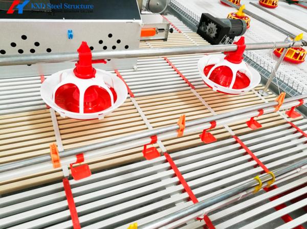 Boireuse automatique en plastique pour l' alimentation des volailles, mangeuse entièrement automatique pour les animaux