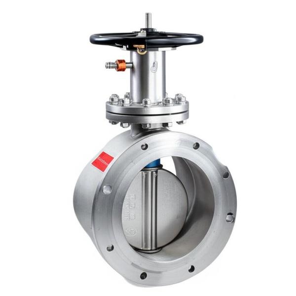 Stainless Steel Eccentric Butterfly Valve The Perfect Industrial Solution