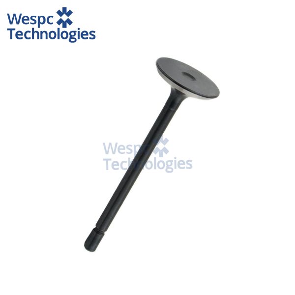 WESPC Intake Valve 120166380 For Perkins 403D-11 403D-15 403D-17 404D-15 404D-22 T Diesel Engines