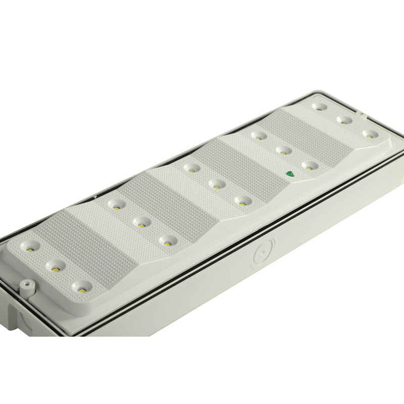Wall Mounted Waterproof Self Testing LED Emergency Light 220V PC Diffuser EL015AMT