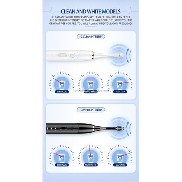SN801 Segment Time Reminder Electric Sonic Toothbrush With Magnetic Suspension