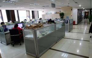 Shanghai Honglian Medical Tech Group