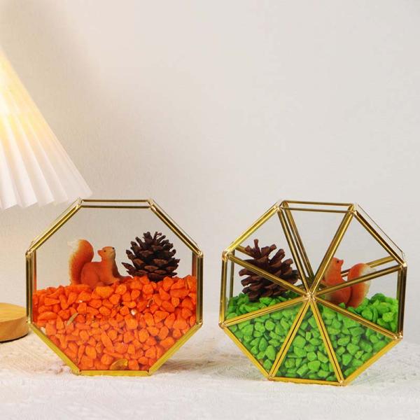 Creative golden glass artifact windows display box garden dried flowers green plants succulent plant ornaments