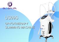 De 360 degrés grosse Cryolipolysis machine de congélation de Cryo pour le rendement élevé de perte de poids