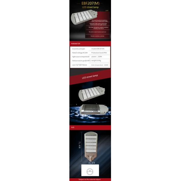 IP65 250 Watt LED Street Light 50Hz Maintenance Free Road Lamp