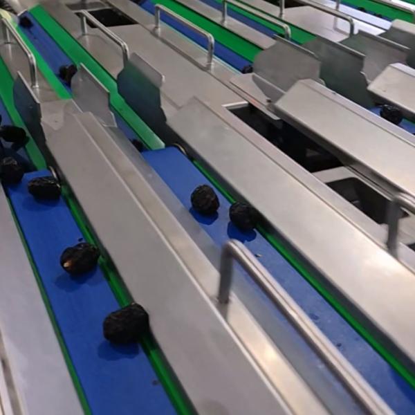 High-capacity Dates Sorting Machine, High Performance, 6 lanes+10 outlets, 1.8 Tons per hour, Multi-exit