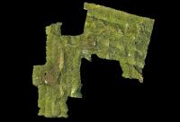 Forestry Surveying Drone LiDAR Geosun GS-260X Aerial Mapping Solution