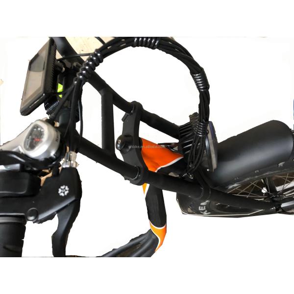 750W Brushless Motor Folding Fat E-Bike with 20inch Tire Big Power and Compact Size