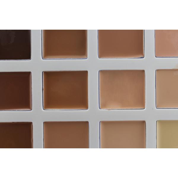 Beauty Product Makeup Cosmetics Concealer Palette With 12 Nice Colors