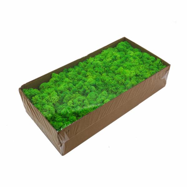 Multiple Colors Interior Decoration Preserved Green Wall With Simple Structure