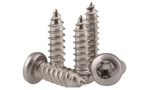 Stainless Steel Torx Drive Pan Head Tapping Screws for Sheet Metal Six-Lobe Drive Pan Head Pointed Screws