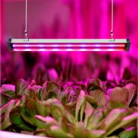 Full Spectrum Sunlight White LED Grow Light Strips 24w 2ft For Herbs / Succulents