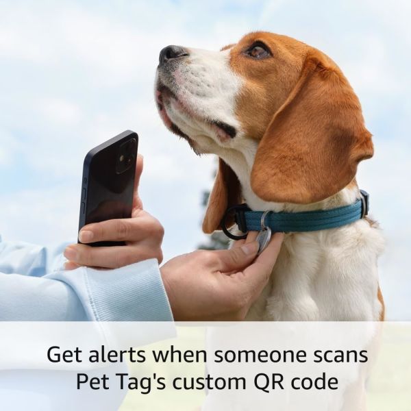QR tag Ring Pet Tag QR Code Tag Silicone tag rubber tag Personalized Metal Text Stainless Steel Diy Custom Logo Necklace Pet Dog ID Handmade Gifts China Jewelry Pendant Hang Name Tag