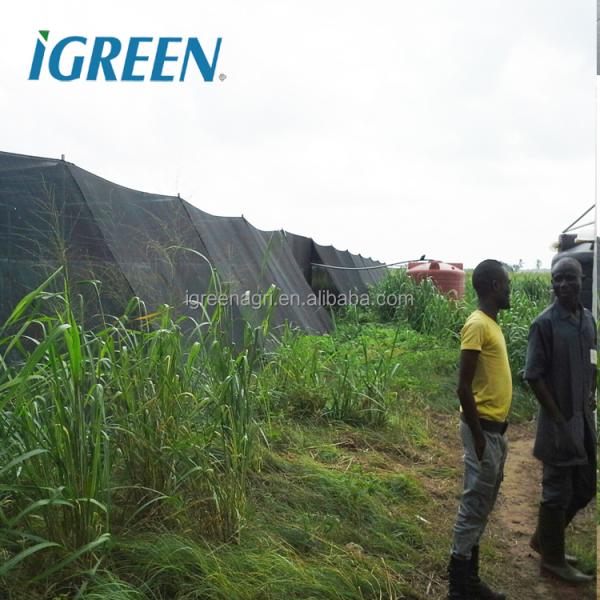 Large Multi-Span Agricultural Greenhouse Bird Net Shade Net Insect Net Farming Equipment