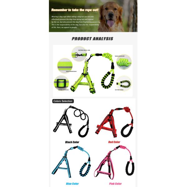 Adjustable Reflective Pet Dog Cat Harness With Nylon Leash Outdoor Training Collar Night Safety