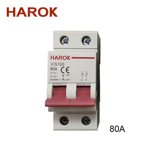 Vis100 2p 80a Main Switch Isolating Circuit Breaker Household Function Disconnector Isolator 32a 63a 100a