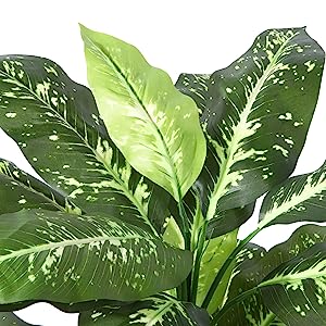 Artificial Golden Dieffenbachia Plant 43 Inch Tall Fake Tropical Lifelike Tree in Pot Silk Faux Dark Green Plant