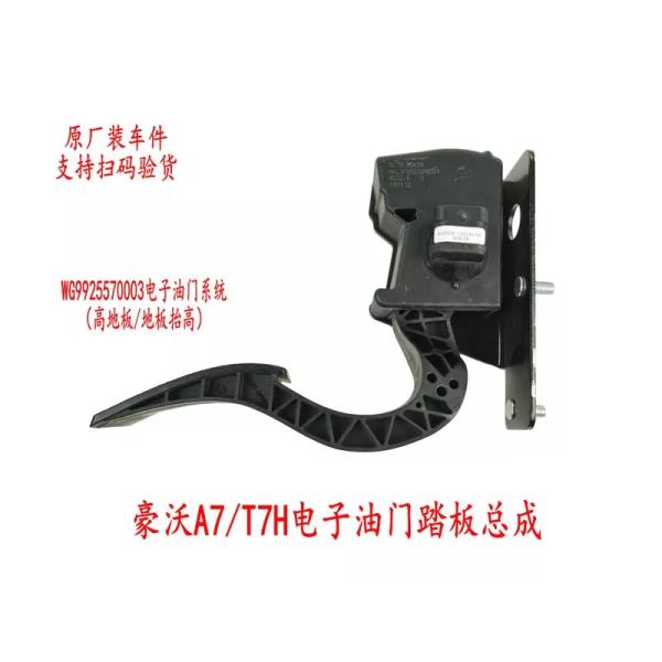 Sinotruk Howo Truck Parts Electronic Accelerator Pedal WG9925570002/1 in Standard Size