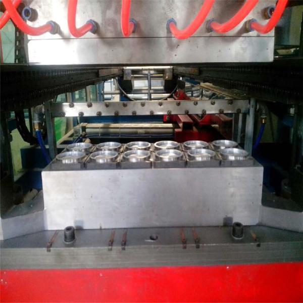 Изготовление пластиковых чашек на заказ Термоформирующая форма Пластиковая чашка Стальная форма