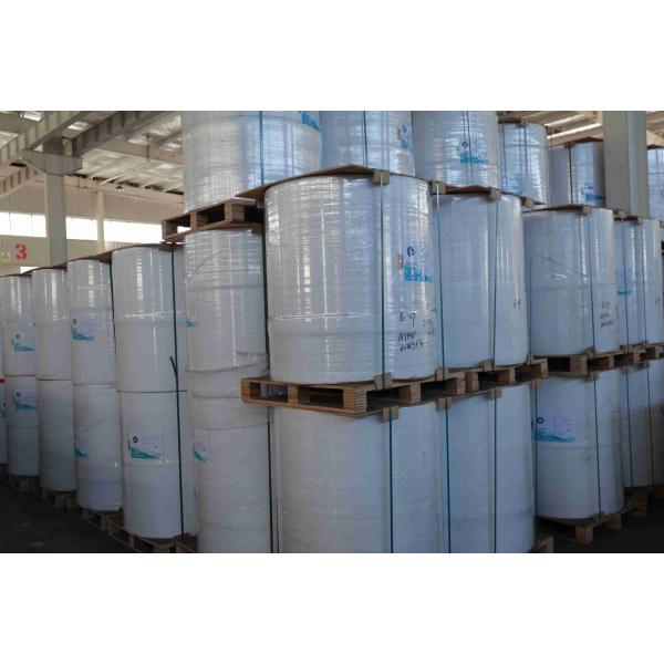 BPA Free Focus Brand Thermal Paper High Smoothness Suitable Optical Density 100% Imported Wood Pulp