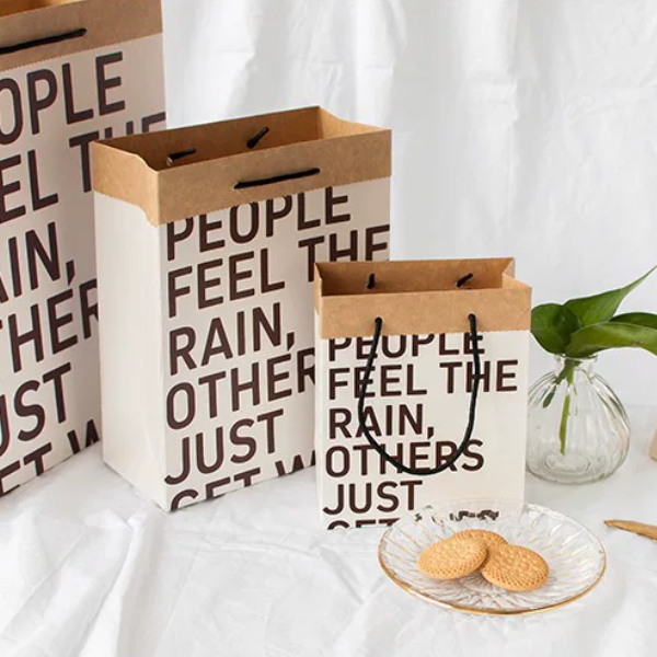 Kraft Paper Shopping Bag with Rope Handle for Retail Packaging