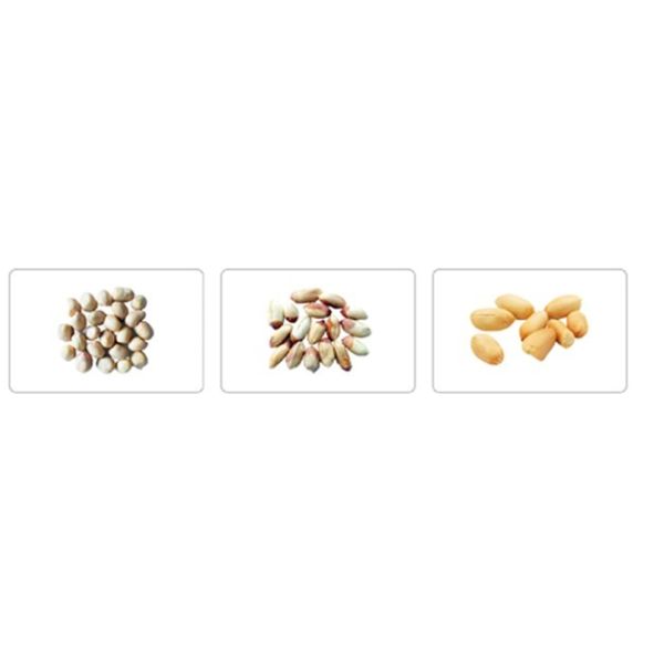 Photoelectric Nuts Sorting Machine 256 Air Nozzles Nut Sorter