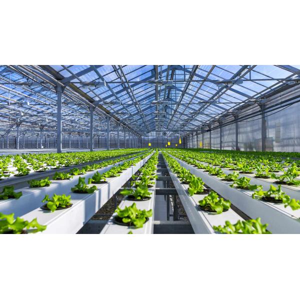 Wholesale Saving-water Hydroponics Vegetables  PVC Nft Hydroponics System For Hydroponic