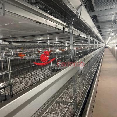 60000 Layer Chicken Cage System Healthier Environment