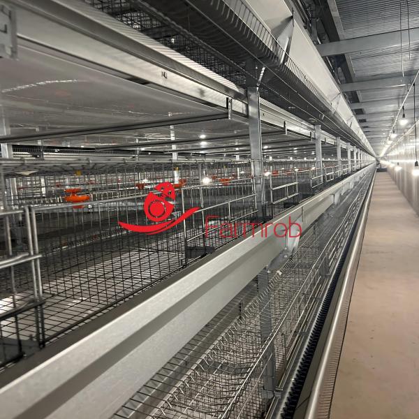 60000 Layer Chicken Cage System Healthier Environment