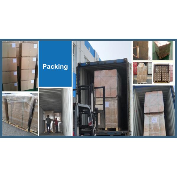 250 Micro Thickness Poly Mailer Bags Light Weight With Shock Resistance