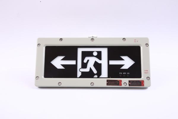 High Voltage Explosion-Proof Exit Light | OEM Emergency Signage Light 90-300VAC/24VDC/36VDC | ATEX IECEx Approved
