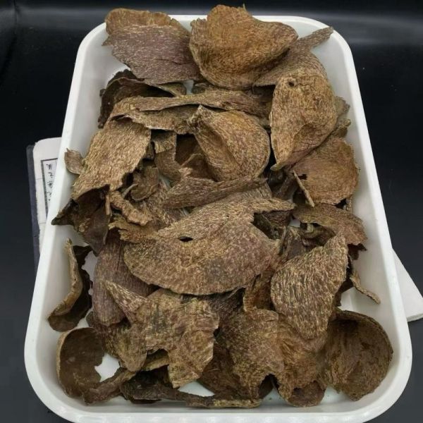 Pure OUD Agarwood resin with deep rich scent suitable for luxury perfume manufacturing and aromatic therapeutic products