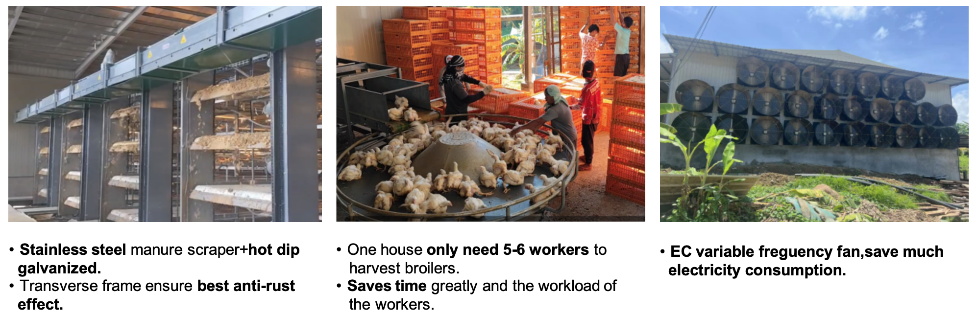 Multi Tier Automatic Bird Harvesting Broiler Chicken Cage