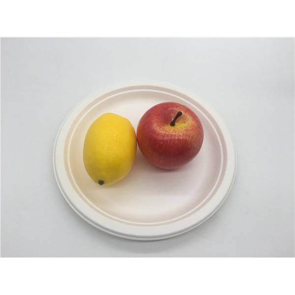 6 Inch  Microwavable Party Bagasse Disposable Plates