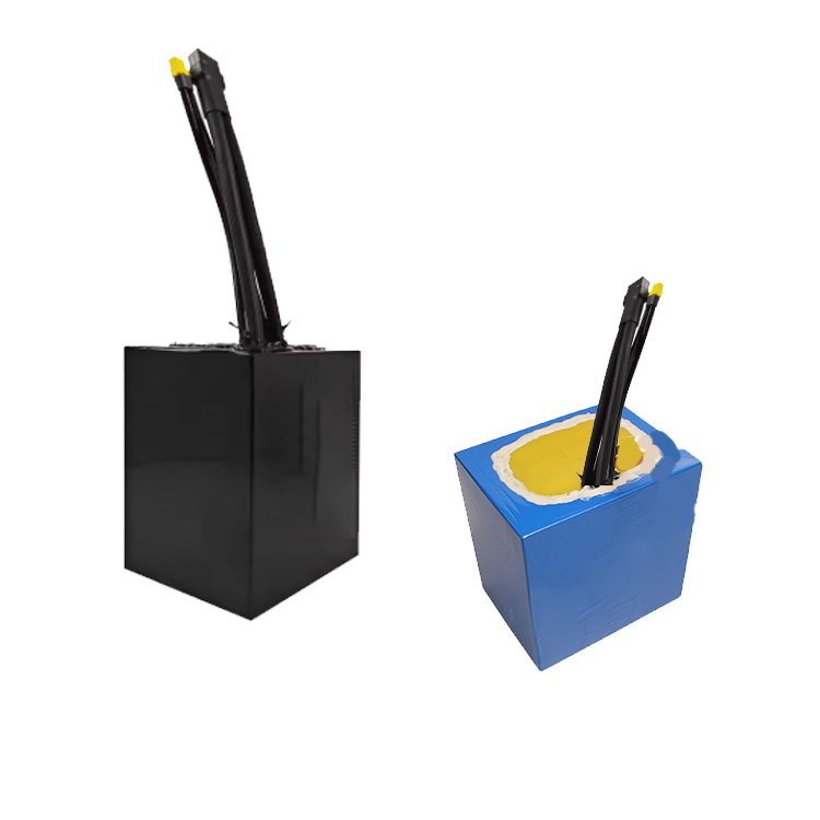 60V 20Ah High Power Lithium Battery W/ Smart Bluetooth ANT  120A  BMS