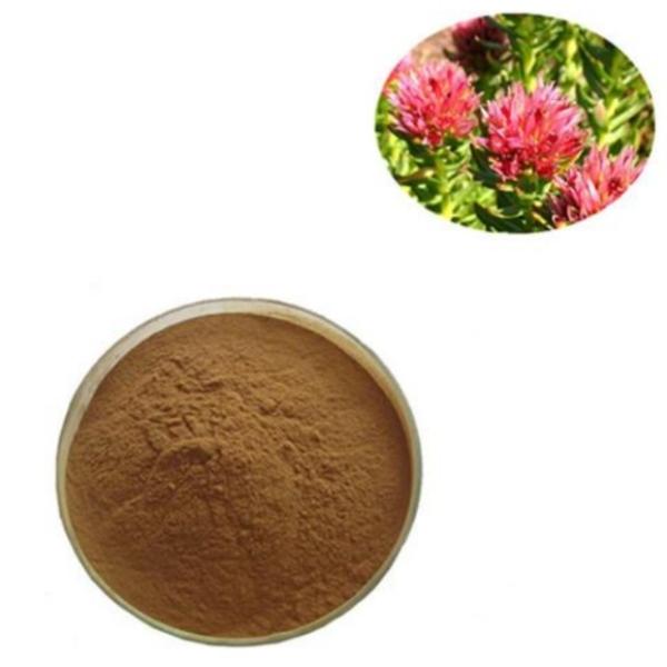 Pólvora extraída da planta Rhodiola Rosea PE Medicina chinesa
