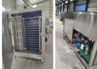 50kg 100Kg 200Kg Capacidade Liofilizador Secador congelador Máquina de vácuo