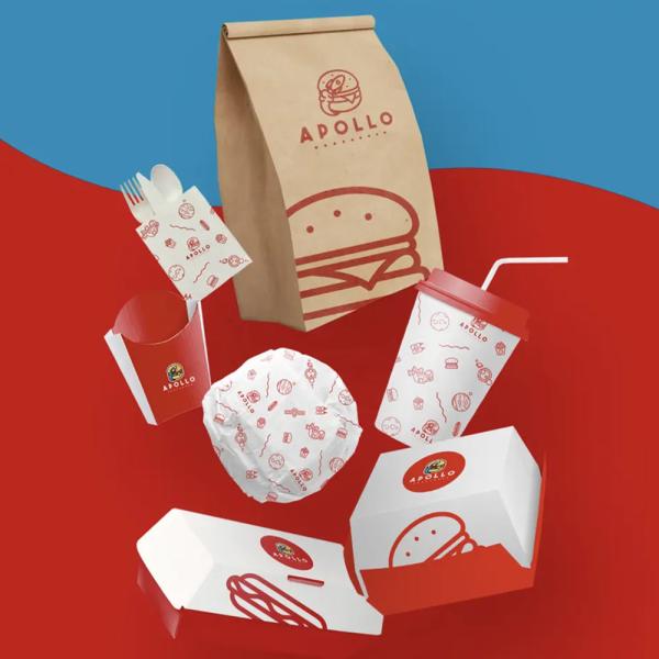 Vente en gros et personnalisation de poulet frit jetable de qualité alimentaire, frites et boîtes de hamburgers