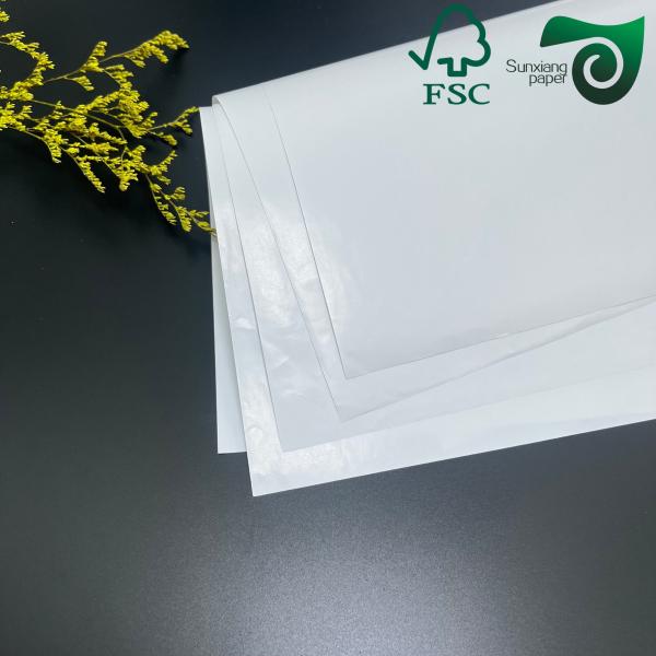 120gsm 300gsm Double Sided Gloss Art Paper 72cm 102cm FSC Glossy Art Paper